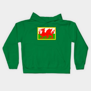 Welsh Dragon Kids Hoodie